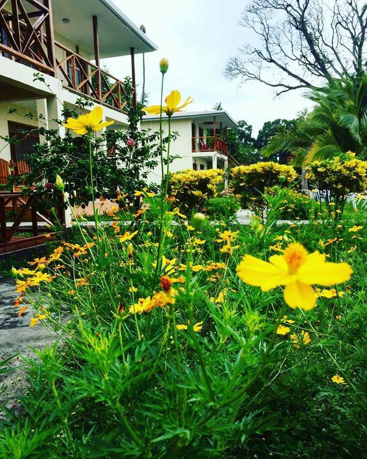 Hotel Finca Playa Venecia Rivas Dış mekan fotoğraf